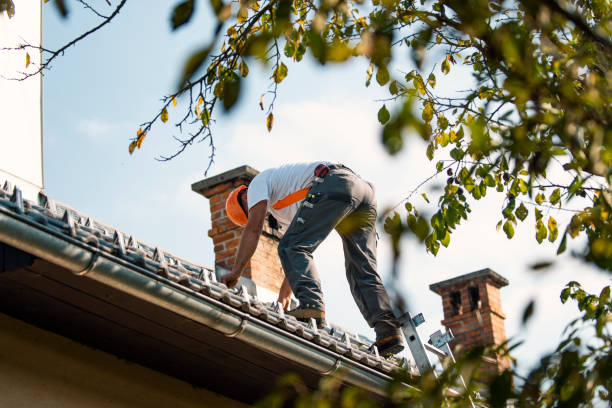 Best Roof Waterproofing Services  in Warson Woods, MO